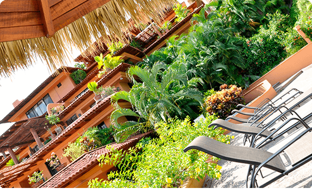 Mexico Zihuatanejo Condo Rentals - Alberca - Punta Marina 302